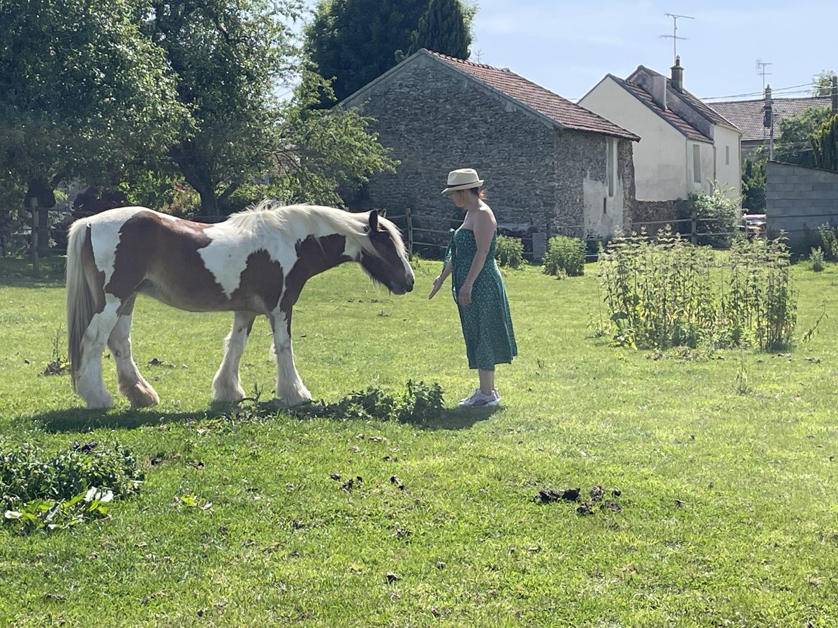 Rencontre avec un cheval pie lors d'une constellation à Boutigny, Seine-et-Marne